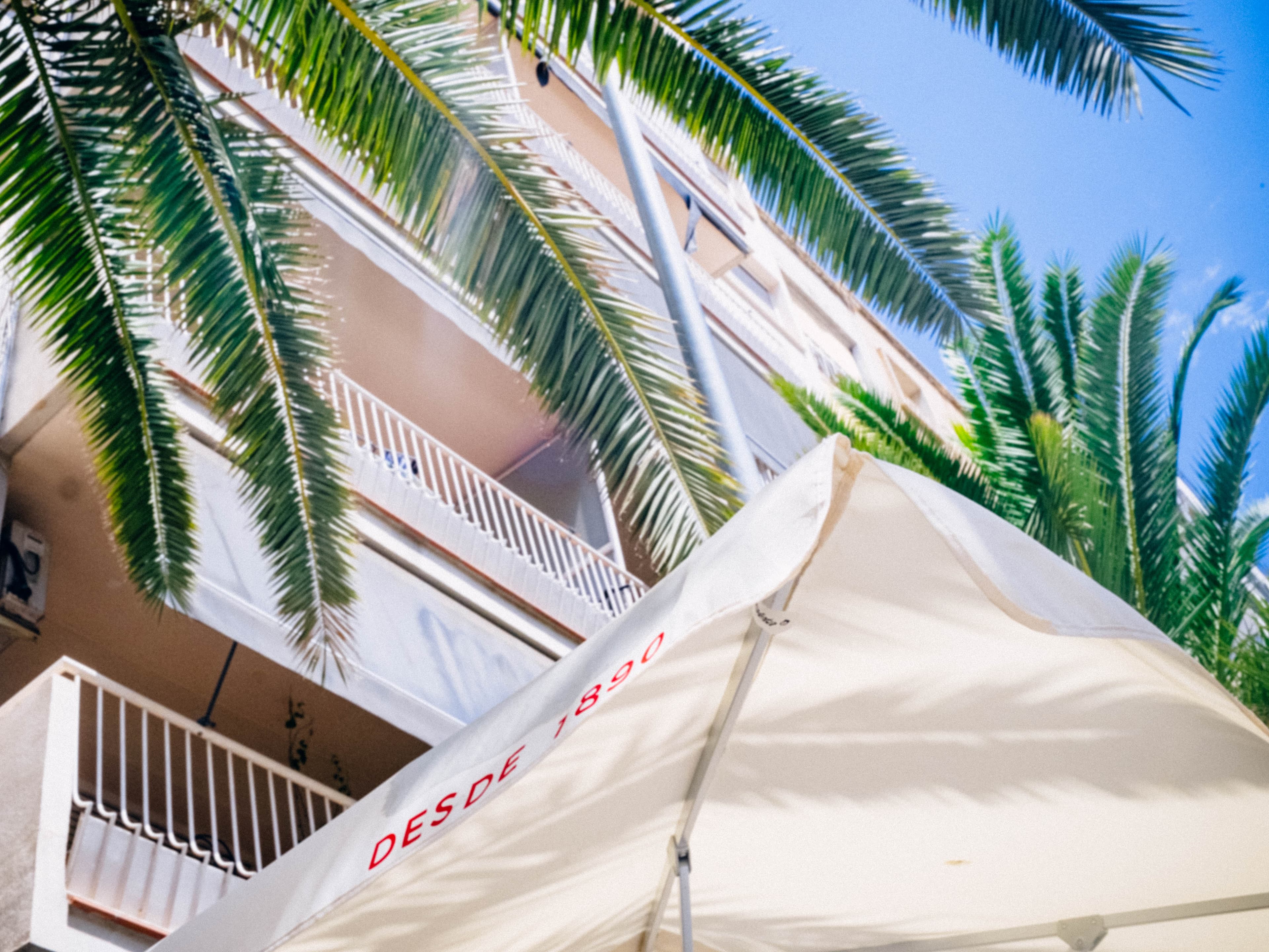 Mediterranean building with palm trees, Desde 1890